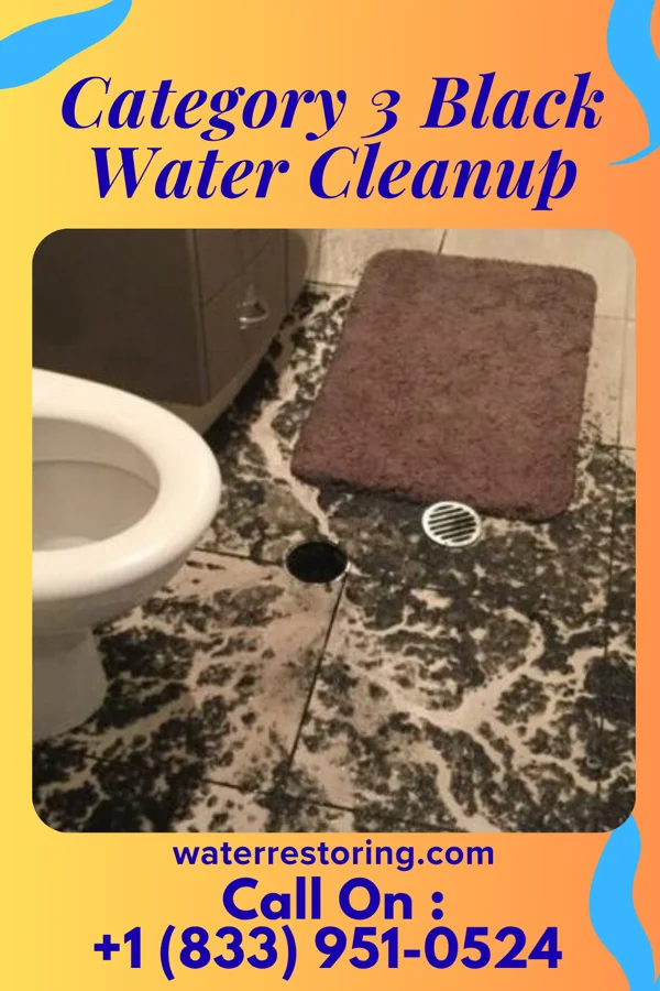 Category 3 Black Water Cleanup in Queenstown, MD