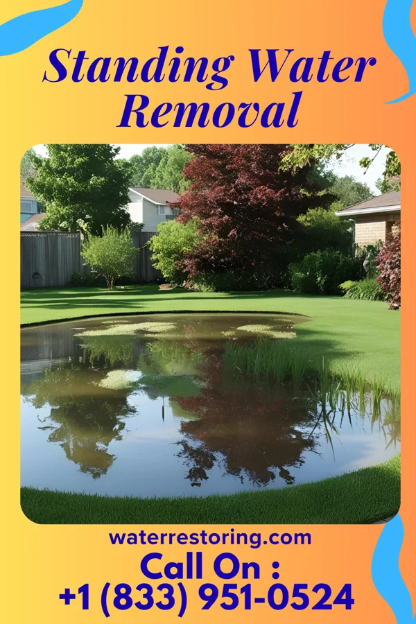 Standing Water Removal in Queenstown, MD